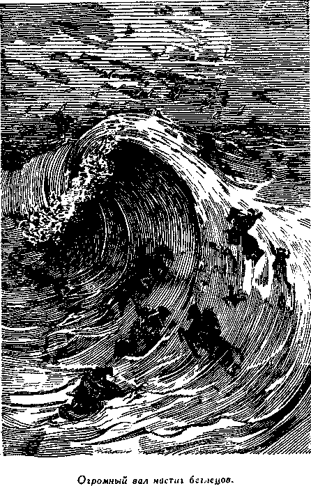 Дети капитана Гранта - i_021.png