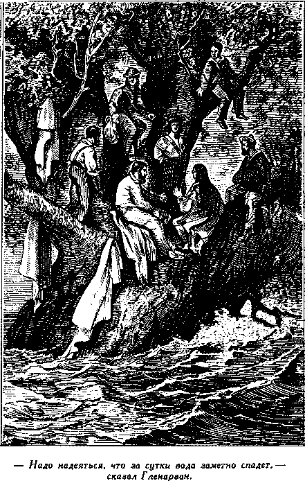 Дети капитана Гранта - i_022.png