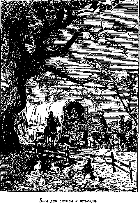 Дети капитана Гранта - i_034.png