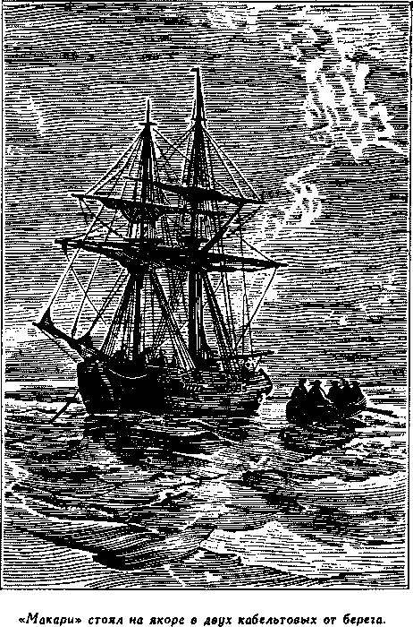 Дети капитана Гранта - i_049.png