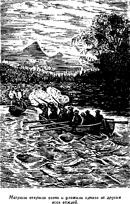 Дети капитана Гранта - i_051.png