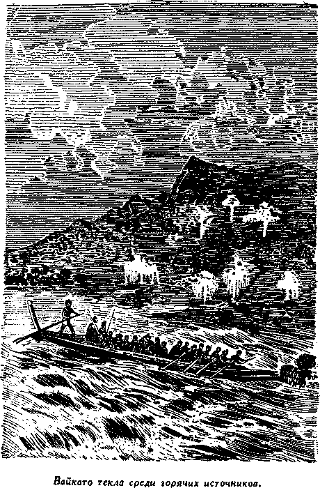 Дети капитана Гранта - i_057.png