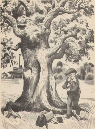 Анвар и большая страна - i_014.jpg