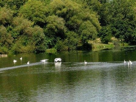 Стихи и сказки для детей и о детях - _16.jpg