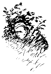 Тропой разведчика - i_005.png