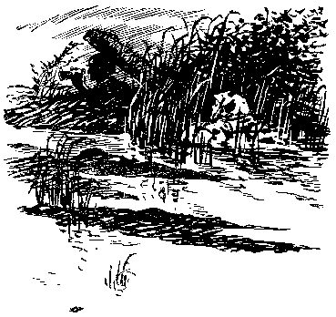 Тропой разведчика - i_006.png