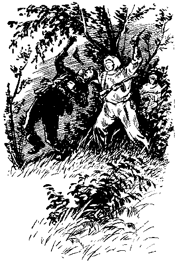 Тропой разведчика - i_013.png