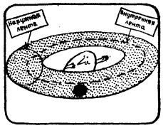 А ну-ка, догадайся! - _164.jpg