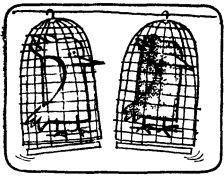 А ну-ка, догадайся! - _246.jpg