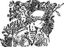 Голубые молнии - img_10.jpg