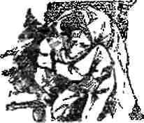 Голубые молнии - img_6.jpg