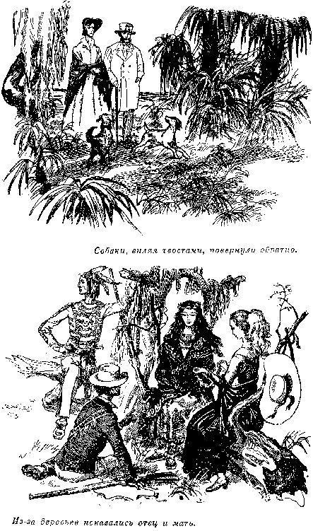 Собрание сочинений, том 2. Оцеола, вождь семинолов. Морской волчонок - i_012.png