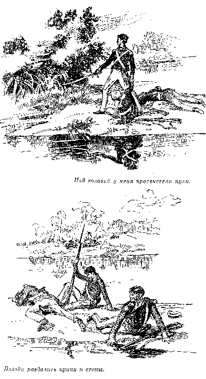 Собрание сочинений, том 2. Оцеола, вождь семинолов. Морской волчонок - i_024.png