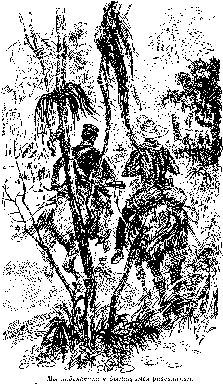 Собрание сочинений, том 2. Оцеола, вождь семинолов. Морской волчонок - i_025.png