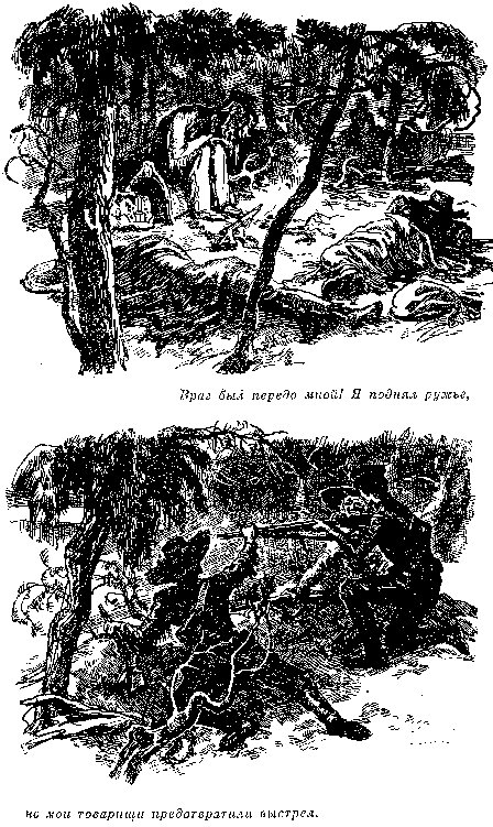 Собрание сочинений, том 2. Оцеола, вождь семинолов. Морской волчонок - i_026.png