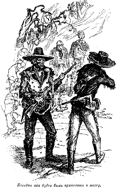 Собрание сочинений, том 2. Оцеола, вождь семинолов. Морской волчонок - i_027.png