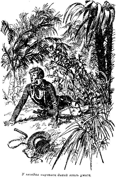 Собрание сочинений, том 2. Оцеола, вождь семинолов. Морской волчонок - i_029.png