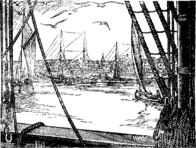 Собрание сочинений, том 2. Оцеола, вождь семинолов. Морской волчонок - i_035.png