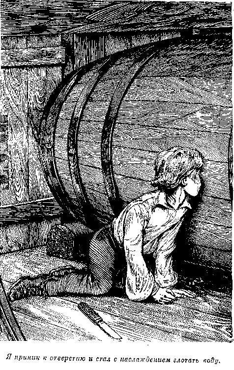 Собрание сочинений, том 2. Оцеола, вождь семинолов. Морской волчонок - i_041.png