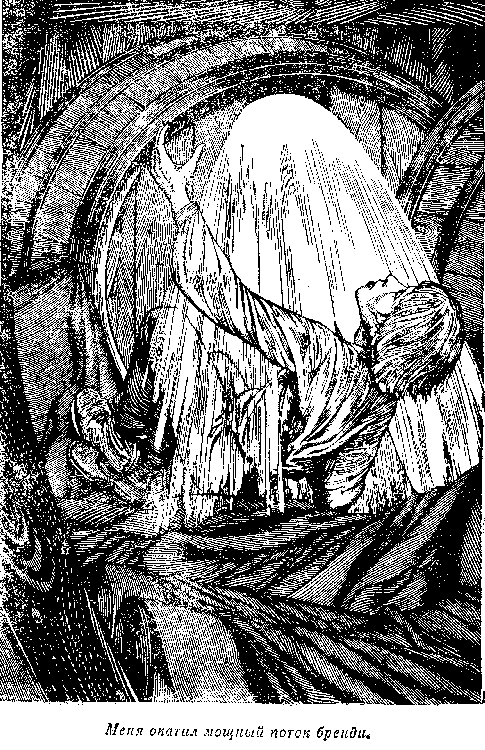 Собрание сочинений, том 2. Оцеола, вождь семинолов. Морской волчонок - i_050.png