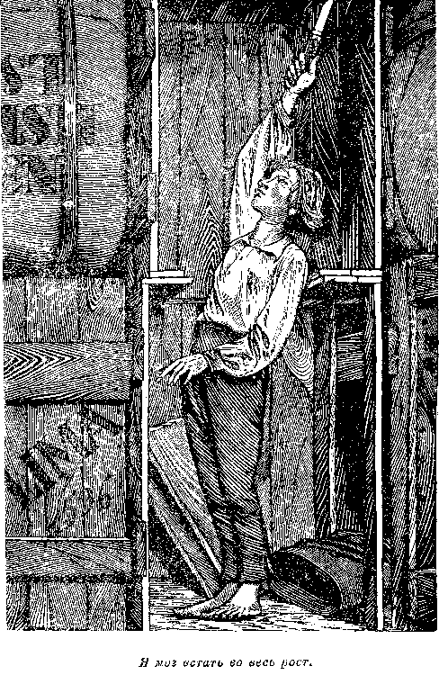 Собрание сочинений, том 2. Оцеола, вождь семинолов. Морской волчонок - i_051.png