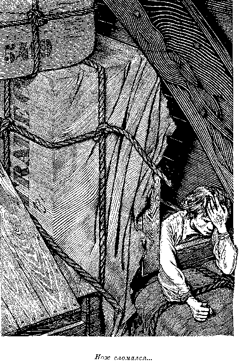 Собрание сочинений, том 2. Оцеола, вождь семинолов. Морской волчонок - i_052.png