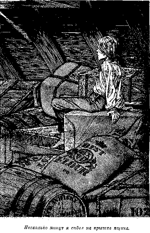 Собрание сочинений, том 2. Оцеола, вождь семинолов. Морской волчонок - i_055.png
