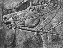 История живописи всех времен и народов. Том 1 - _9.jpg