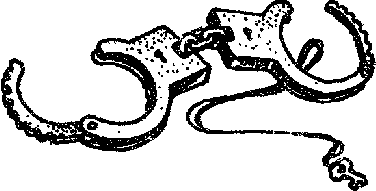 Искатель. 1961-1991. Выпуск 1 - i_005.png