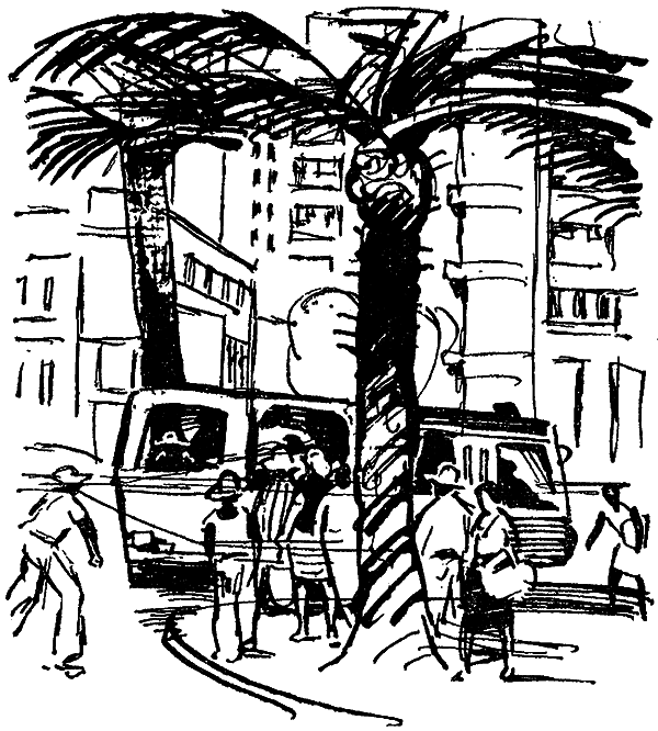 Искатель. 1977. Выпуск №5 - i_022.png