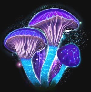Люди крыш. Пройти по краю - i_010.jpg