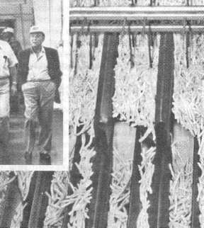 McDonald's. О чем молчит БИГМАК? - i_028.jpg