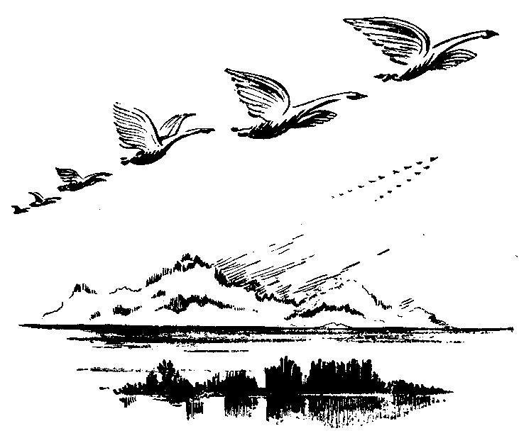 Происшествия под водой - i_001.jpg