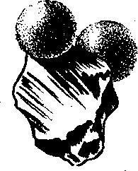 Происшествия под водой - i_011.jpg