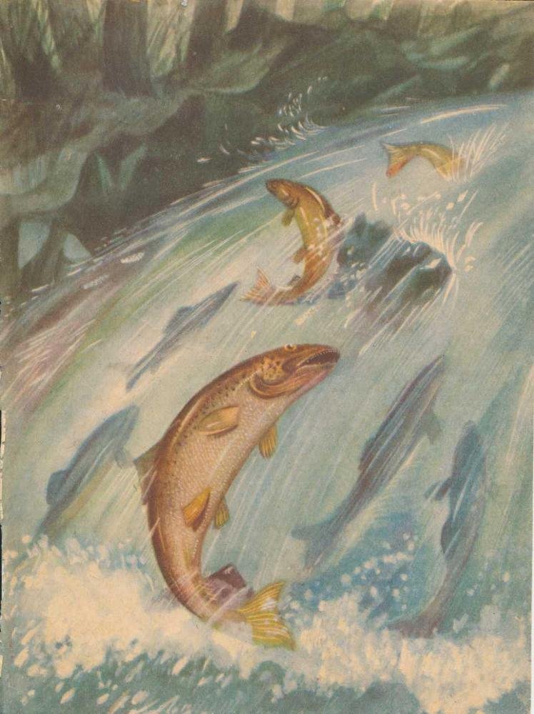 Происшествия под водой - i_016.jpg