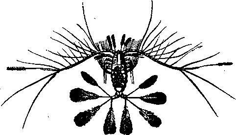 Происшествия под водой - i_034.jpg