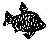 Происшествия под водой - i_036.jpg