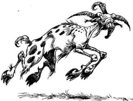 Вольная Пустошь - i_046.jpg