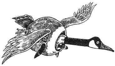 Фергус Крейн и огненные алмазы - i_096.jpg