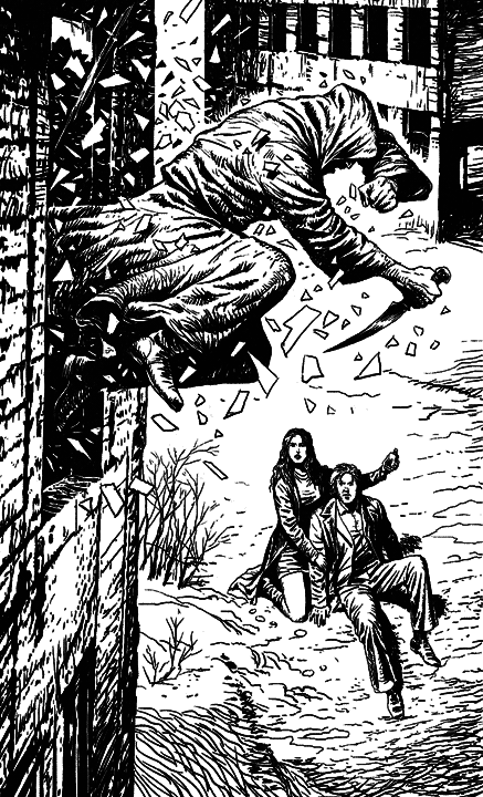 Дитя Стужи - i_001.png