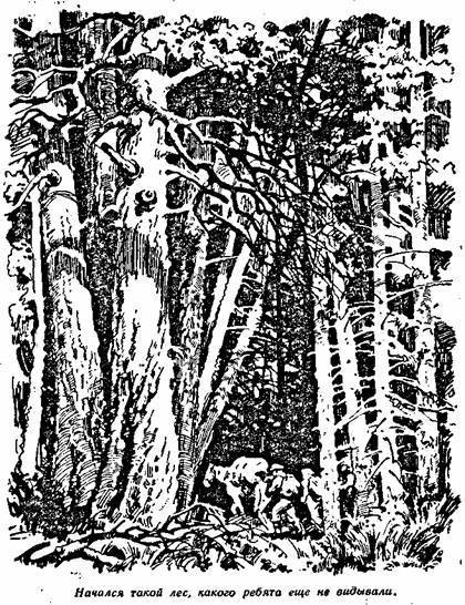 Падь Золотая - any2fbimgloader8.jpeg