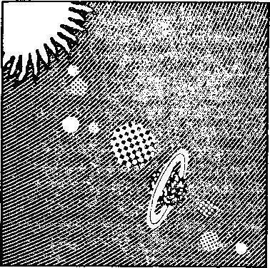 Штурм абсолютного нуля - i_058.jpg