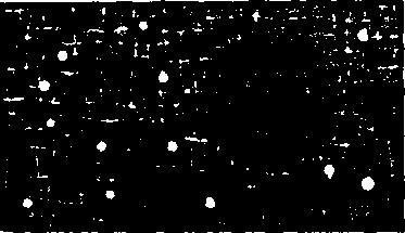 Штурм абсолютного нуля - i_069.jpg