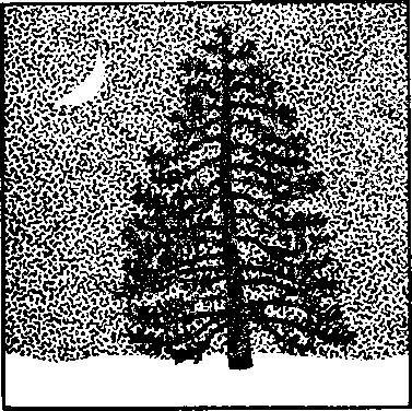 Штурм абсолютного нуля - i_076.jpg