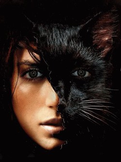 Книга Осенними тропами судьбы (СИ)