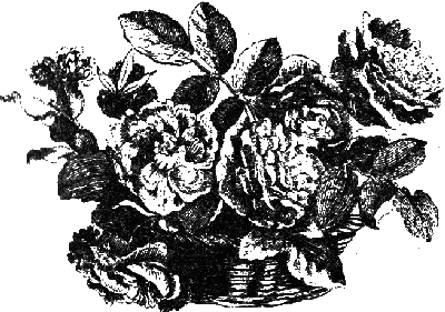 Вишенка. 2 том - i_001.png