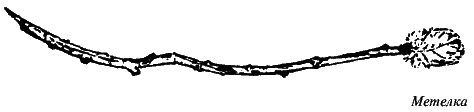 Всегда возвращаясь домой - i_039.png
