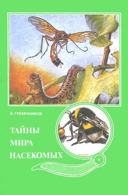Книга Тайны мира насекомых