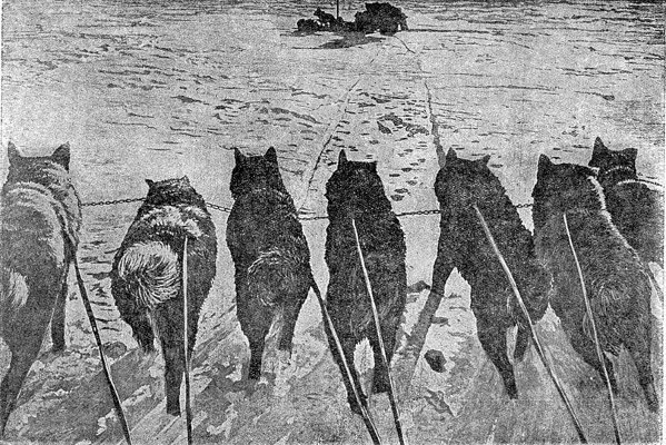 Остров Врангеля - i_008.jpg