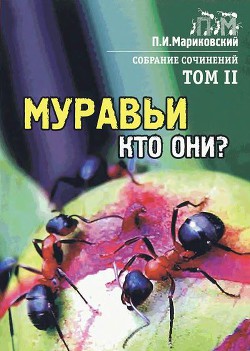 Книга Муравьи, кто они?